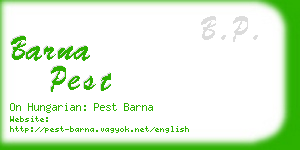 barna pest business card